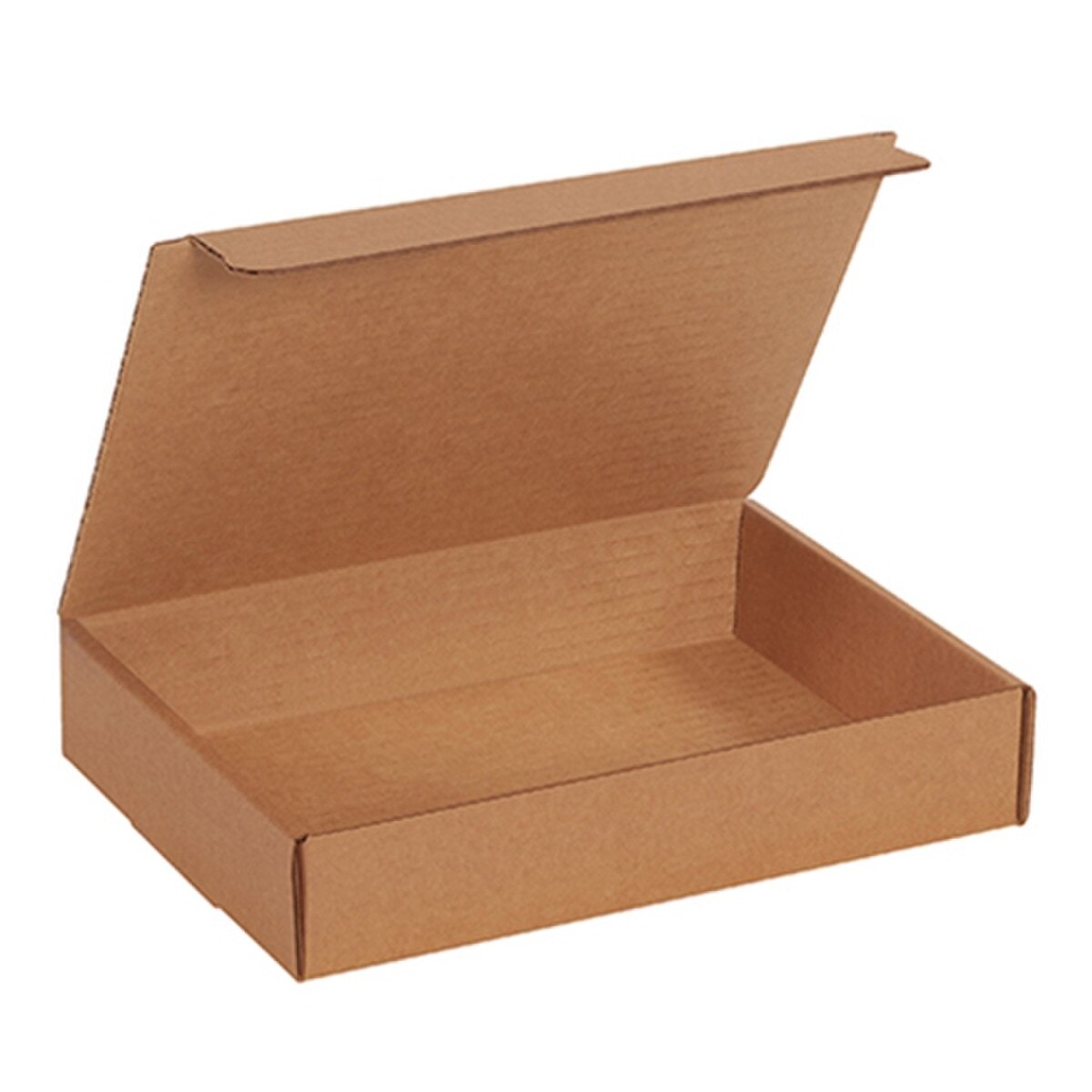 Cardboard Literature Mailer 12-1/8